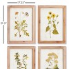 Plum & Post Golden Wildflower Study, Set Of 4 - 3 of 4