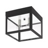 Livex Lighting Nyack 2 - Light Flush Mount in  Black - 2 of 3
