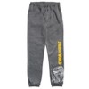 Jurassic World Jurassic Park T-Rex Fleece 2 Pack Jogger Pants Toddler - 2 of 4