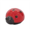 Lady Bug (Set of 24) - 4 of 4