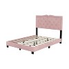NicBex Full/Queen Size Upholstered Bed Frame with Velvet Tufted Headboard,Platform Bed Frame with Rivet Design,No Box Spring Needed,Easy Assembly - 4 of 4