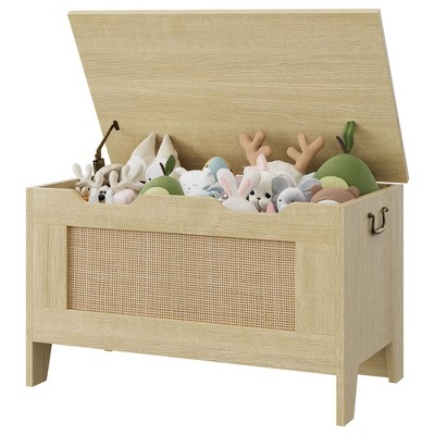 Storage Chest Toy Chest for Boys, Girls, Kids Wooden Toy Box with Lids and Safety Hinge, Entryway Storage Bench Chest, Storage Trunk
