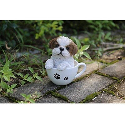  6" Polyresin Teacup Shih Tzu Puppy Outdoor Statue White - Hi-Line Gift 