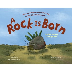A Rock Is Born - by  Richard Ho (Hardcover) - 1 of 1