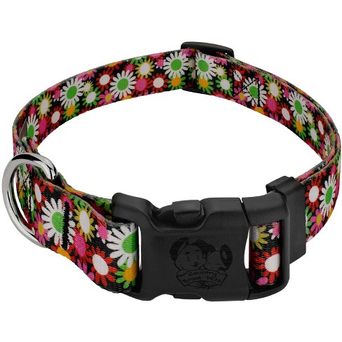 Daisy print dog store collar