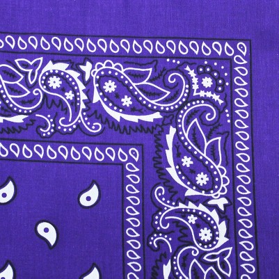 paisley purple