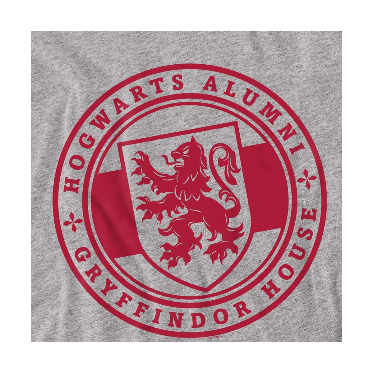 Boys' Harry Potter Gryffindor House Badge T-Shirt - thumbnail 3