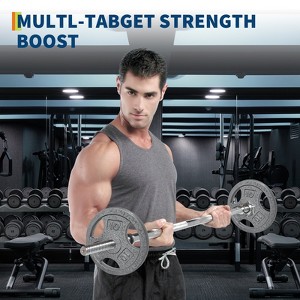 Cast Iron Bumper Weight Plate, 1 Inch Standard Barbell Weight Plate for Home Gym, Anti Rust Coating Weight Plate for Strength Training, 1 x 25 Lbs - 1 of 1