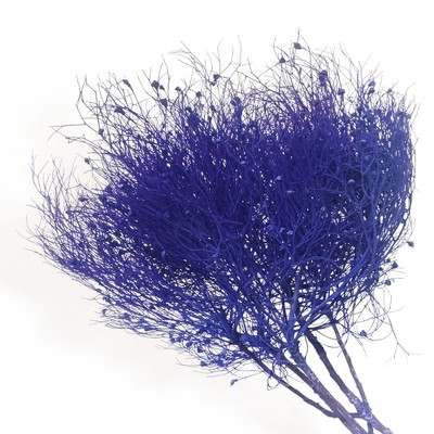 Alilang Decorative Dried Ming Fern Stems for Elegant Home Decoration and Creative Floral Arrangements, 19.5 Inches