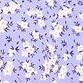 purple white flowers