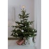 Kurt Adler Wire Capiz Snowflake Tree Topper, Light Silver, 10" - 3 of 4
