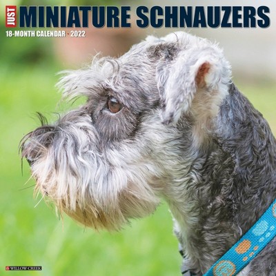 2022 Wall Calendar Just Miniature Schnauzers - Willow Creek Press