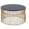 CT901 Modern Contemporary Metal Nested base and Tinted tempered glass top material 30inCoffee Table, Round Table for Living room, Gold - 3 of 4