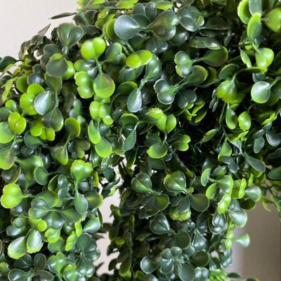 Guest review image 1 of 3, zoom in