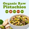 Organic Raw Pistachios - Non-GMO, Kosher, No Shell, Bulk - 4 of 4