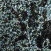 blue/multi