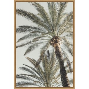 Amanti Art Palm 005 by Pictufy Studio III Framed Canvas Wall Art - 1 of 4