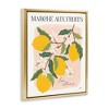 Stupell Industries Marche Aux Lemons, 21" x 17" - 3 of 4