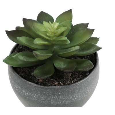 Set of 3 Green Faux Succulent Plants in Gray Pots