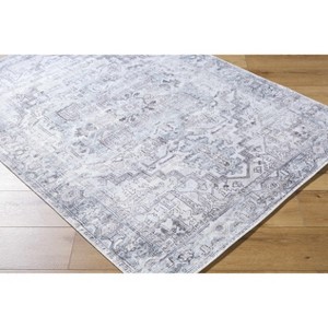 Hauteloom Nadia Hallway, Kitchen Runner Rug - Traditional - 1 of 4