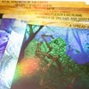 Greater Than Games | Spirit Island: Base Game - Foil Panels | Cooperative Strategy Board Game Accessory | Premium Component Upgrade - 4 of 4