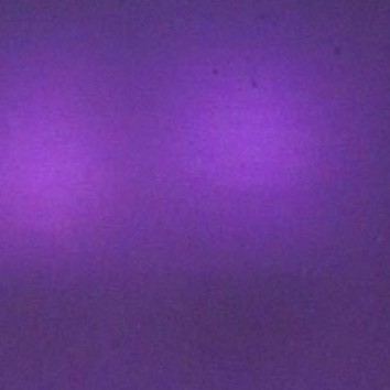purple magic velvet