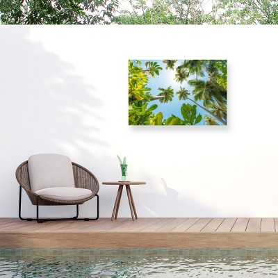 Trademark Fine Art - Stefan Hefele  Tropical Up Matted Framed Art