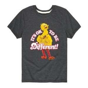Boys' - Sesame Street - Its Ok To Be Different Short Sleeve Graphic T-Shirt - 1 of 4