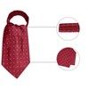 Allegra K Men's Polka Dots Adjustable Self-Tied Cravat Tie One Size - 2 of 4