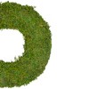 Northlight 13.7" Reindeer Moss Artificial Floral Spring Wreath - Unlit - image 3 of 3