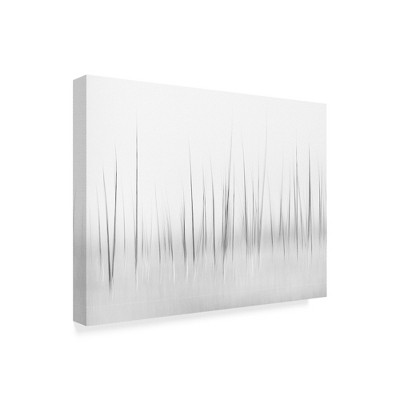 Trademark Fine Art -Charles Lai 'Wintry Scenery In Yellowstone' Canvas Art