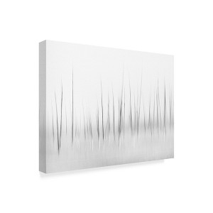 Trademark Fine Art -Charles Lai 'Wintry Scenery In Yellowstone' Canvas Art - 1 of 4