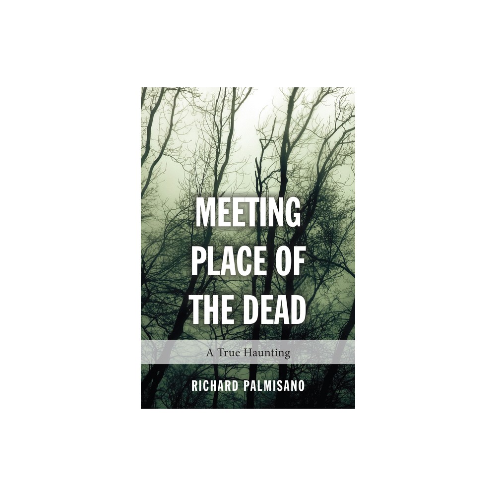 Meeting Place of the Dead - by Richard Palmisano (Paperback)