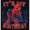 Girl's Marvel It's My Spider-Birthday T-Shirt - 2 of 4