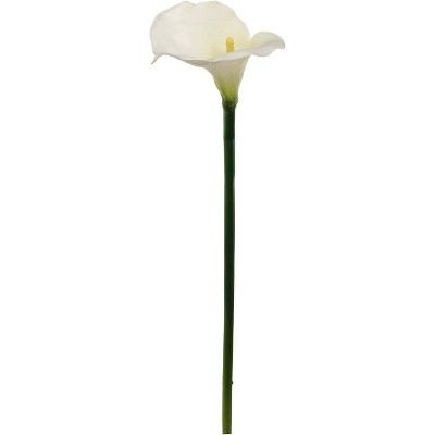 Floral Home 26" Cream Calla Lily - 24-Piece