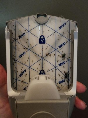 Guest review image 1 of 2, zoom in