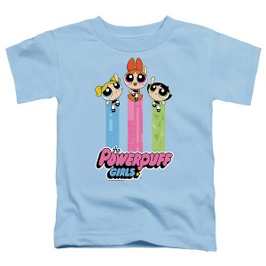 Toddler Boys' Powerpuff Girls The Girls Fly T Shirt - 1 of 2