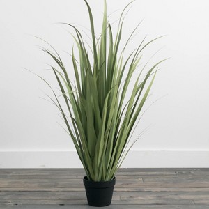 Sullivans Artificial Onion Grass Potted - 1 of 4