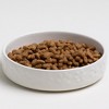 Mason Cash: Paw Print Pet Saucer - Cream - 5.2", 6.8oz - Cat Food-Water Dish - 4 of 4