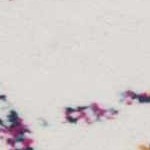 ivory, colorful, gray