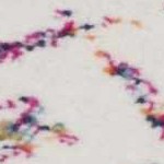 ivory, colorful, gray