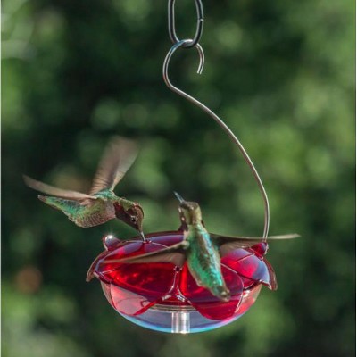 Ruby Red and Clear Polycarbonate Window Mounted Hummingbird Feeder