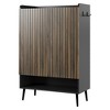 Large 6-Tier Shoe Cabinet with 2 Doors & Hooks - Black Entryway, Hallway or Living Room Shoe Organizer - 2 of 4