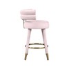 Meridian Furniture,Fitzroy Pink Velvet Counter Stool, Set of 2 - 4 of 4