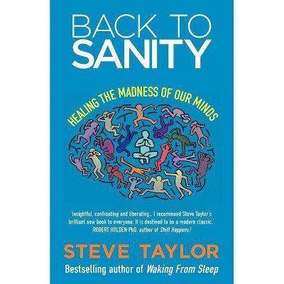 Back to Sanity - by  Steve Taylor (Paperback)