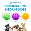 Pacific Pups Products - Dog Toy Balls 6 Pack - Variety Pack of Balls for Dogs - Dog Balls for Fetch - 3 of 4