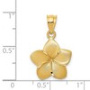 Black Bow Jewelry 14k Yellow Gold 15mm Satin Plumeria Pendant - 3 of 4