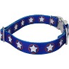 Country Brook Petz Premium Dog Collar - Americana Collection - 3 of 4
