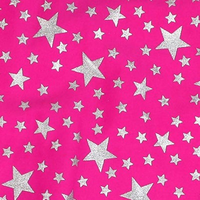 fuchsia - silver stars