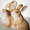 Sullivans 3.75" & 5" Outdoor Brown Bunnies Set of 3 - 2 of 4